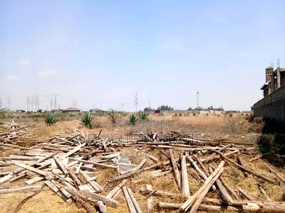 1/2 Acre Plot for Sale Katani 1km From Bogonko Stage - Image 6