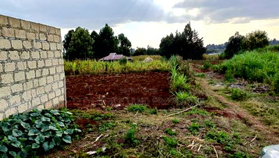 Affordable Perfect Family Plot Rironi Kiroe for Only 2,200,000 - Image 2