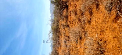 25 Acres Cliff End Property in Tinga at Per750k Acre - Image 7
