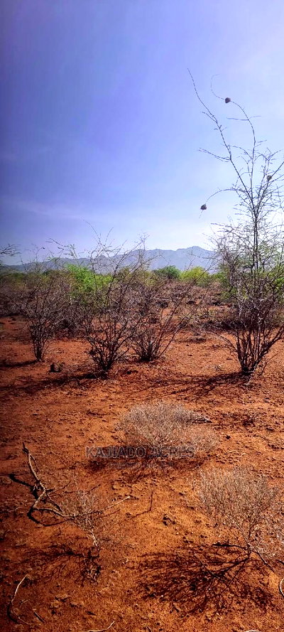 25 Acres Cliff End Property in Tinga at Per750k Acre - Image 2