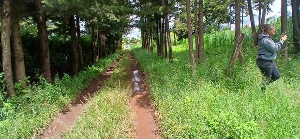 76 by 100ft Plot for Sale in Kikuyu, Regen