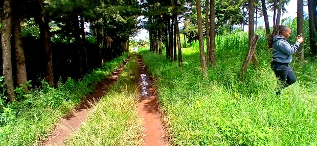 76 by 100ft Plot for Sale in Kikuyu, Regen