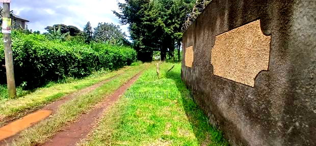 76 by 100ft Plot for Sale in Kikuyu, Regen
