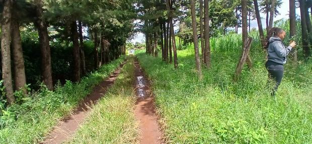 76 by 100ft Plot for Sale in Kikuyu, Regen