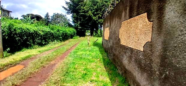 76 by 100ft Plot for Sale in Kikuyu, Regen