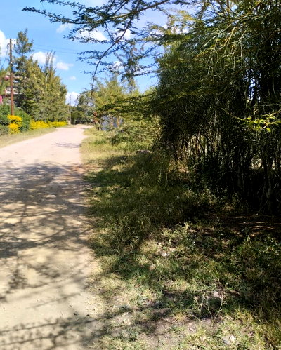 Quarter Acre Garden Plot in Ruai