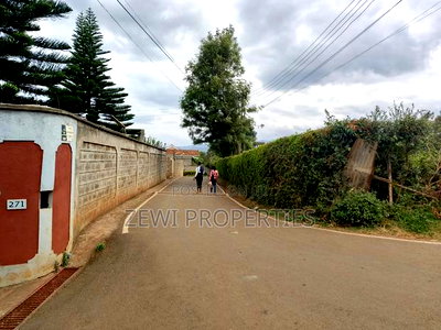 1/4 Acre Commercial Plot Zambia-Ngong - Image 2