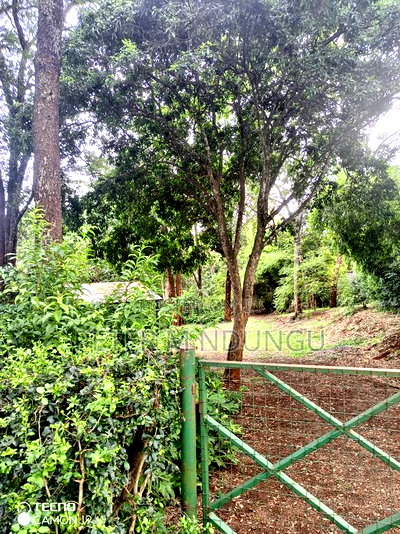Mushrooms Garden 3.8 Acres, Kiambu Road - Image 3