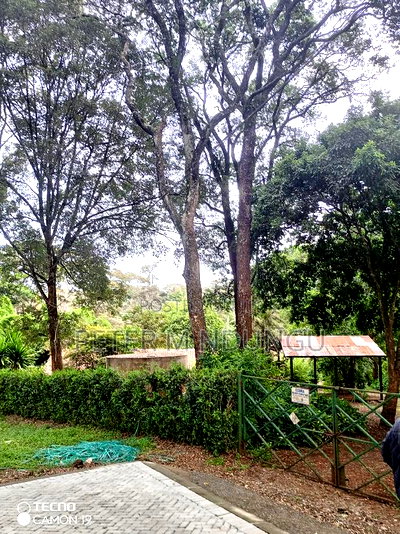 Mushrooms Garden 3.8 Acres, Kiambu Road - Image 1