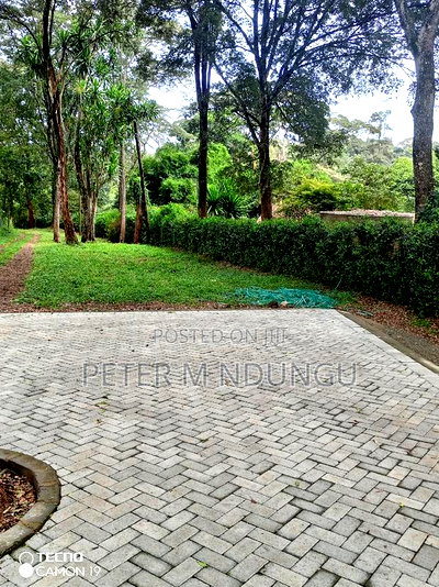 Mushrooms Garden 3.8 Acres, Kiambu Road - Image 2