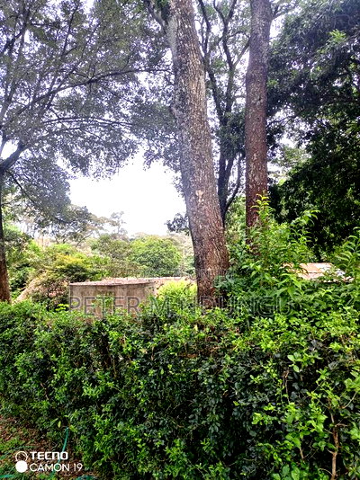 Mushrooms Garden 3.8 Acres, Kiambu Road - Image 4