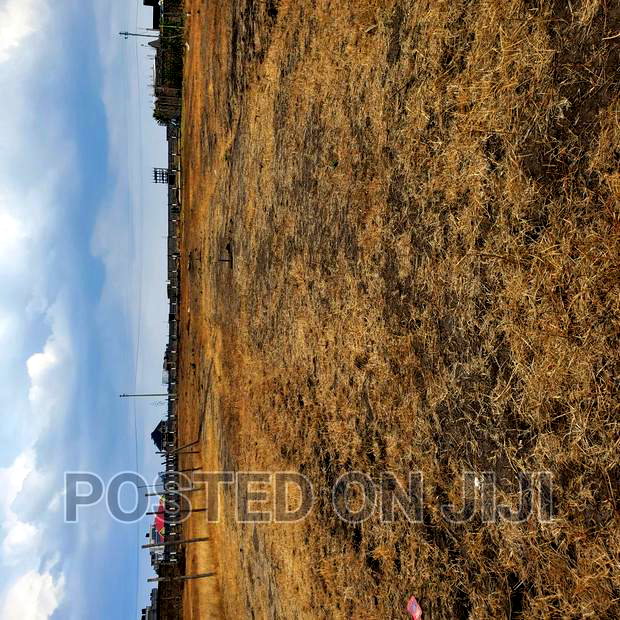 Prime Plots Along Kamakis Corner.