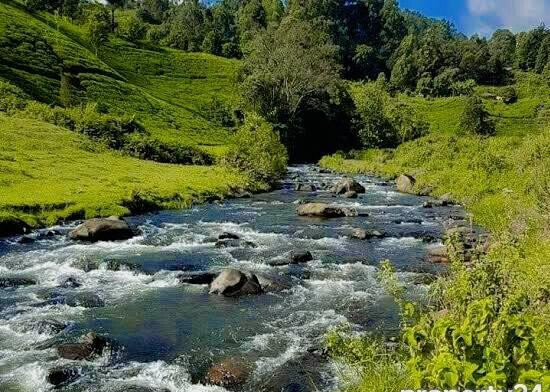 7.5-Acre Farm with Tea Bushes - Kiganjo