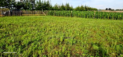 Commercial Plots for Sale in Marura Terra in Eldoret - Image 8