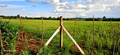 Commercial Plots for Sale in Marura Terra in Eldoret - Image 2