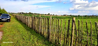 Commercial Plots for Sale in Marura Terra in Eldoret - Image 4