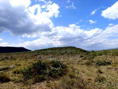 Plots For Sale In Kikuyu Nachu, Mikuyuini - Image 3