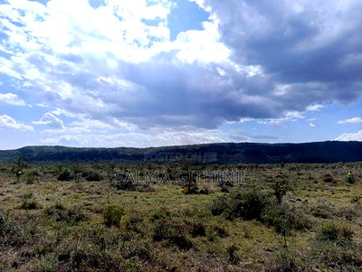 Plots For Sale In Kikuyu Nachu, Mikuyuini - Image 4