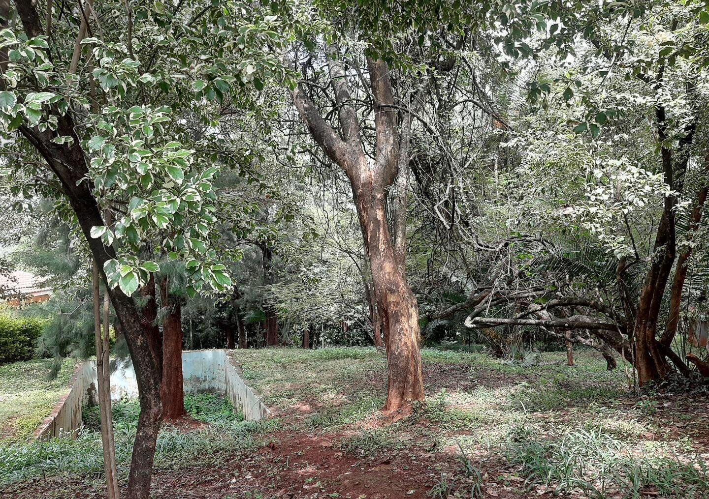 2.2-Acre Runda Plot for KSh 185M