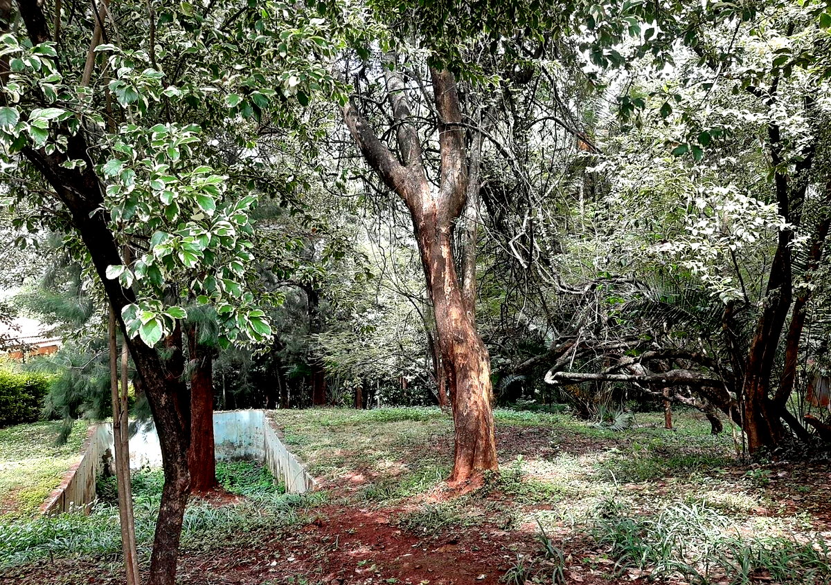 2.2-Acre Runda Plot for KSh 185M