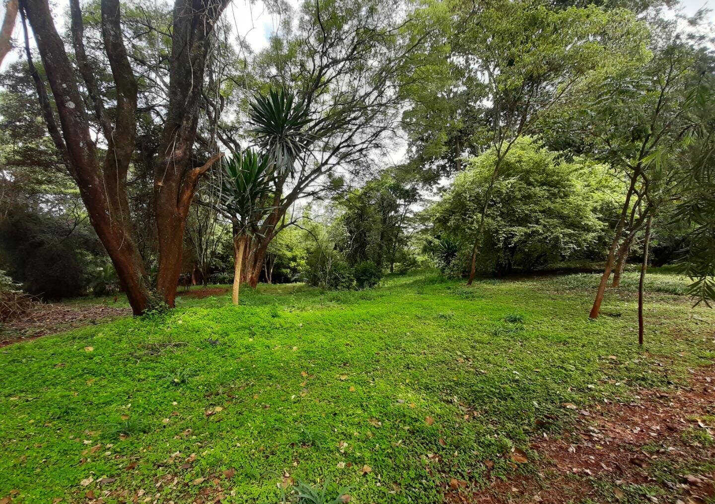 2.2-Acre Runda Plot for KSh 185M
