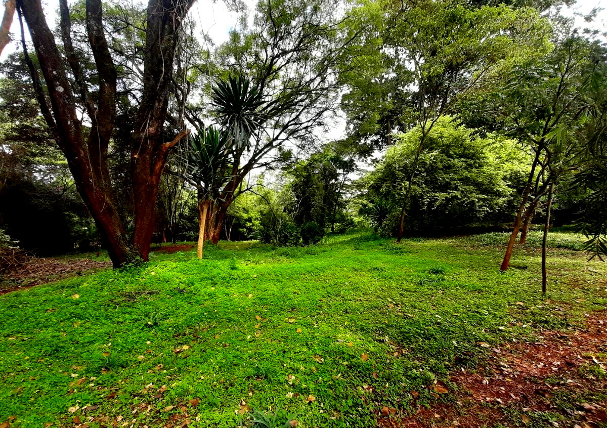 2.2-Acre Runda Plot for KSh 185M