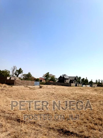 50x100 in Milimani at 1.8m - Image 7