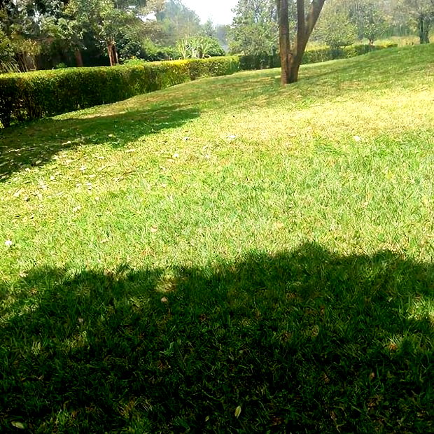 Karen Plot on Sale 4 Acre With 24bedrooms