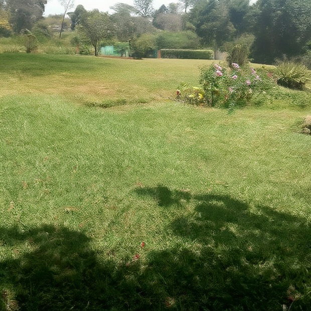 Karen Plot on Sale 4 Acre With 24bedrooms