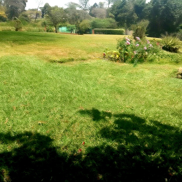 Karen Plot on Sale 4 Acre With 24bedrooms