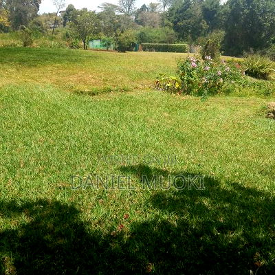 Karen Plot on Sale 4 Acre With 24bedrooms - Image 3