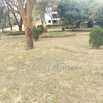 Karen Plot on Sale 4 Acre With 24bedrooms - Image 9