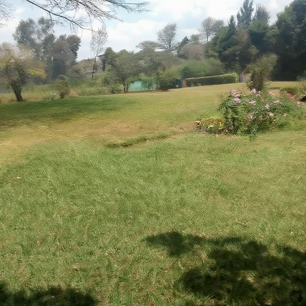Karen Plot on Sale 4 Acre With 24bedrooms