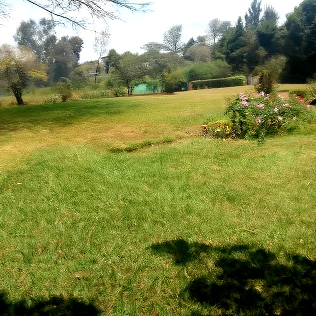 Karen Plot on Sale 4 Acre With 24bedrooms