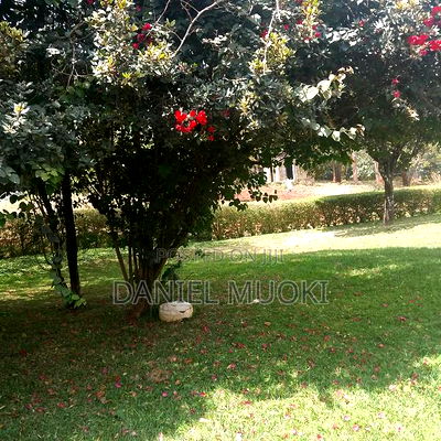 Karen Plot on Sale 4 Acre With 24bedrooms - Image 6