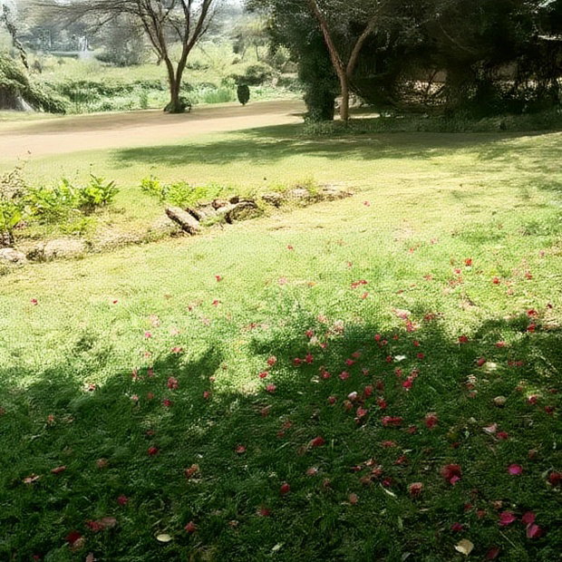 Karen Plot on Sale 4 Acre With 24bedrooms