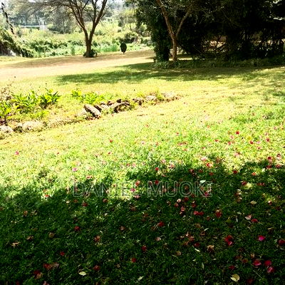 Karen Plot on Sale 4 Acre With 24bedrooms - Image 5