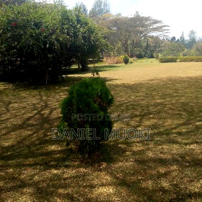 Karen Plot on Sale 4 Acre With 24bedrooms - Image 8