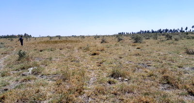 5-Acre Garden Land in Oloosirkon