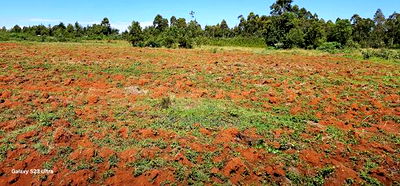 5 and 10 Acres for Sale in Kapseret Mlango Eldoret - Image 4