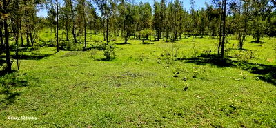 5 and 10 Acres for Sale in Kapseret Mlango Eldoret - Image 5