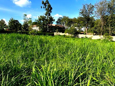 One Acre Block Land Touching Southern Bypass Tarmac Thogoto. - Image 19