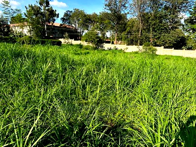 One Acre Block Land Touching Southern Bypass Tarmac Thogoto. - Image 12