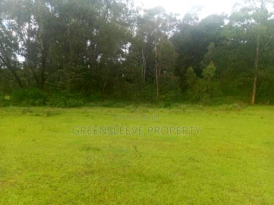 Land for Sale - Image 10