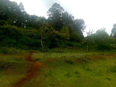 Land for Sale - Image 7