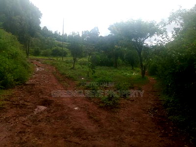 Land for Sale - Image 4