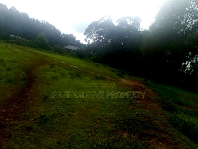 Land for Sale - Image 6