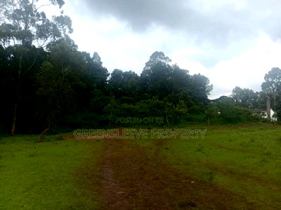 Land for Sale - Image 8