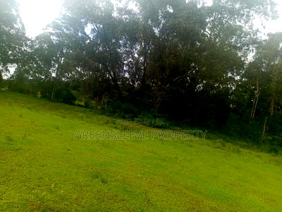 Land for Sale - Image 9