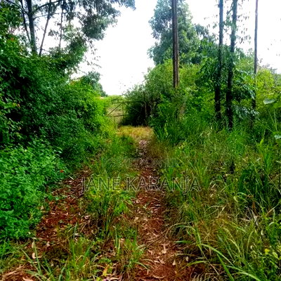 Blocks of 32,220 and 361 Acres Makuyu Muranga County 3.5 M at - Image 1